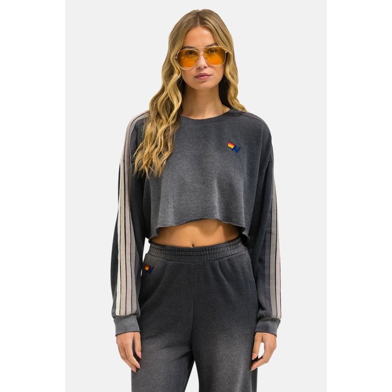 Classic Stripe Cropped Crew Sweatshirt Relaxed Faded Smoke