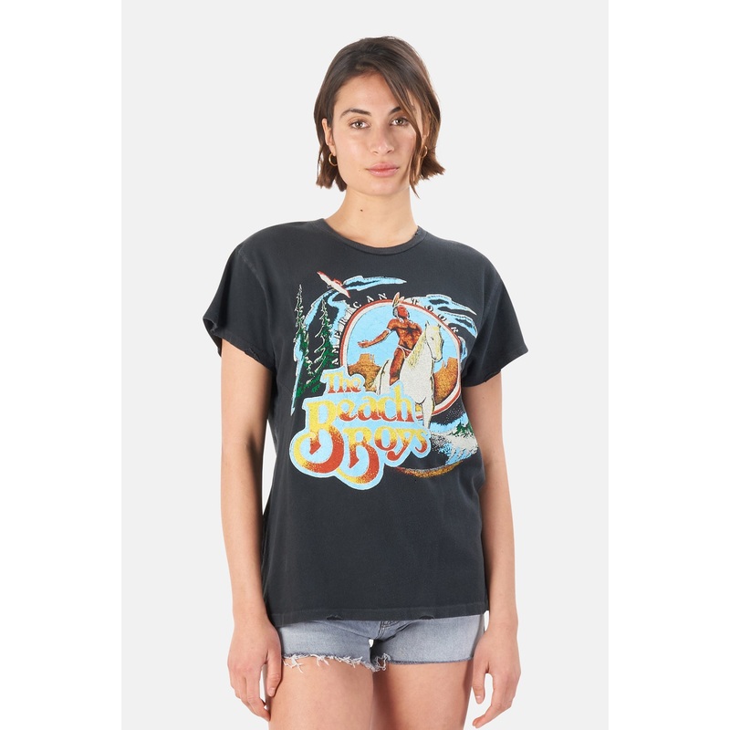 Beach Boys Endless Summer Tee Coal Pigment