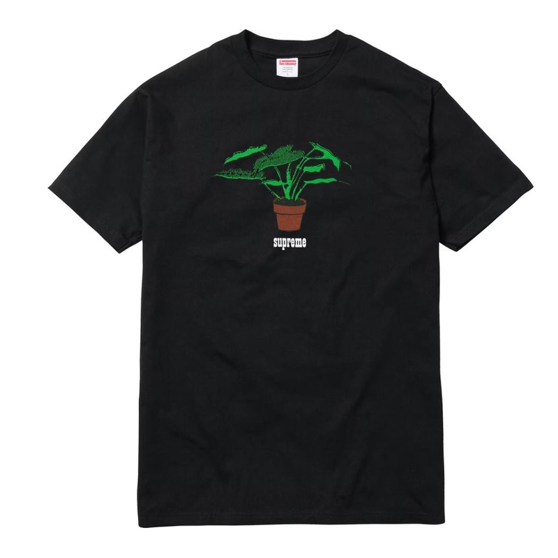 Plant Tee Black|M