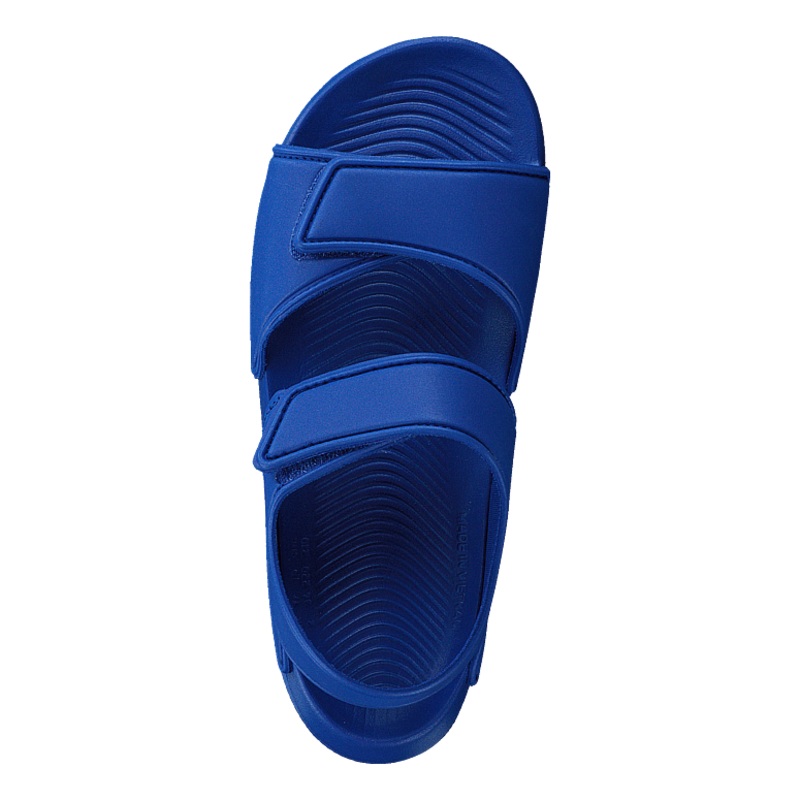 Altaswim C Team Royal Blue/ftwr White/tea