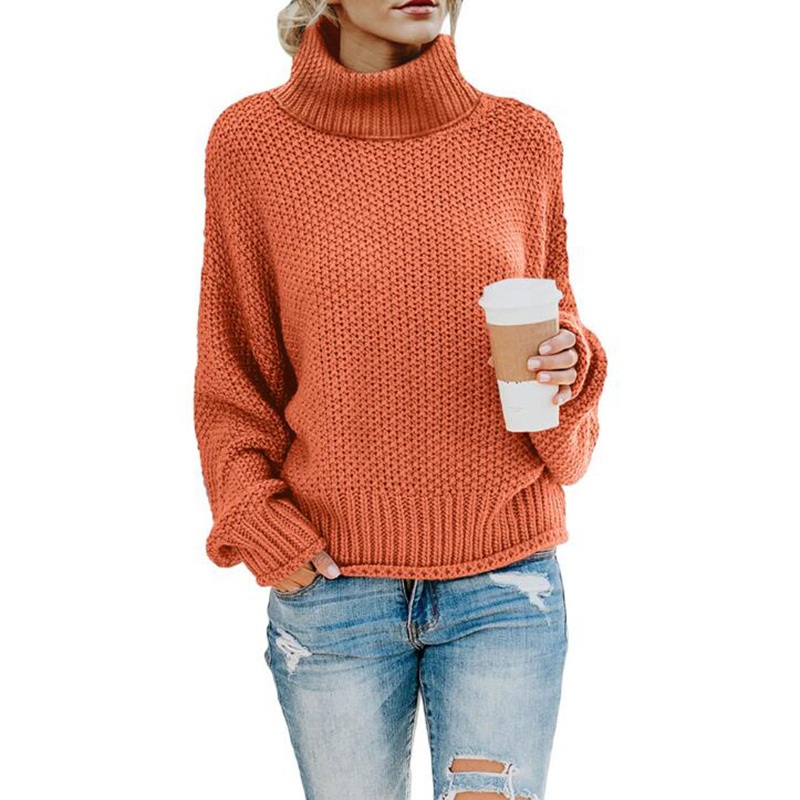 Winter Chic Elegant Fashion Women Solid Turtleneck Pullovers Ladies Jumpers Sweater – Autumn Winter Sweater and Fashion Sweater price|S, S, M, L, XL